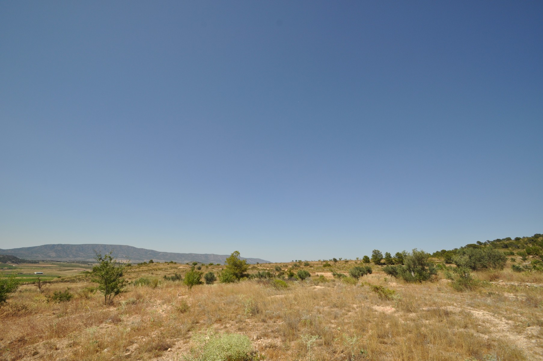 Pool area in land for sale in Pinoso