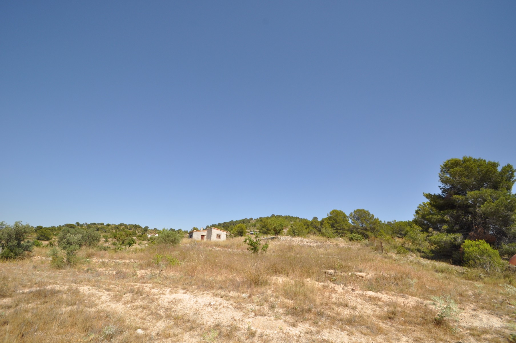 Dining area in land for sale in Pinoso