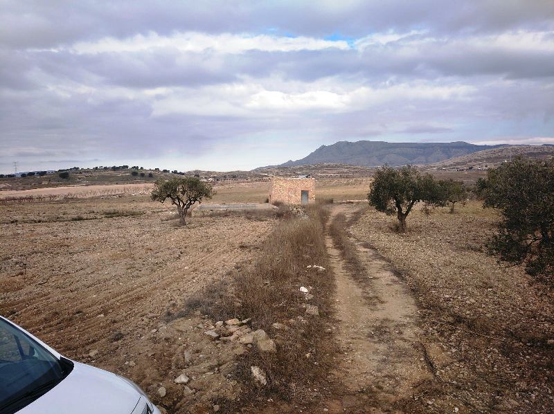 Garden in land for sale in Torre Del Rico