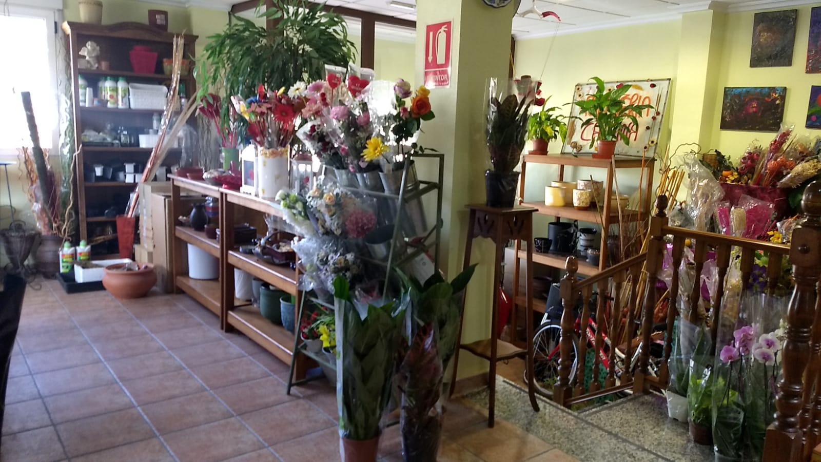 Beautiful bungalow at a good price in one of the best areas of Pinoso