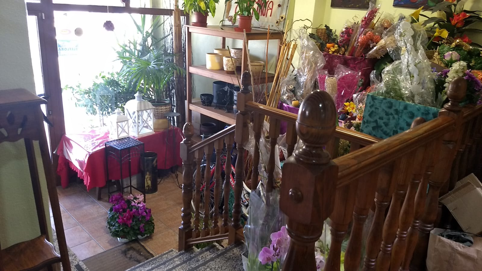 Garden in terraced for sale in Pinoso