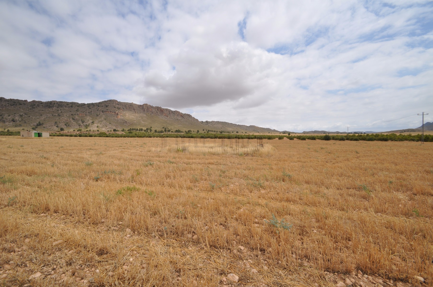 Exterior view in land for sale in Yecla