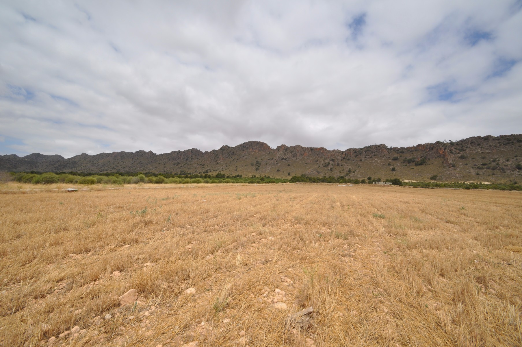 Living room in land for sale in Yecla