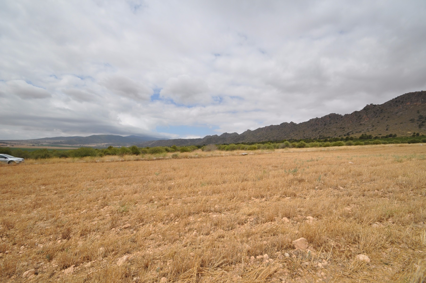 Kitchen in land for sale in Yecla
