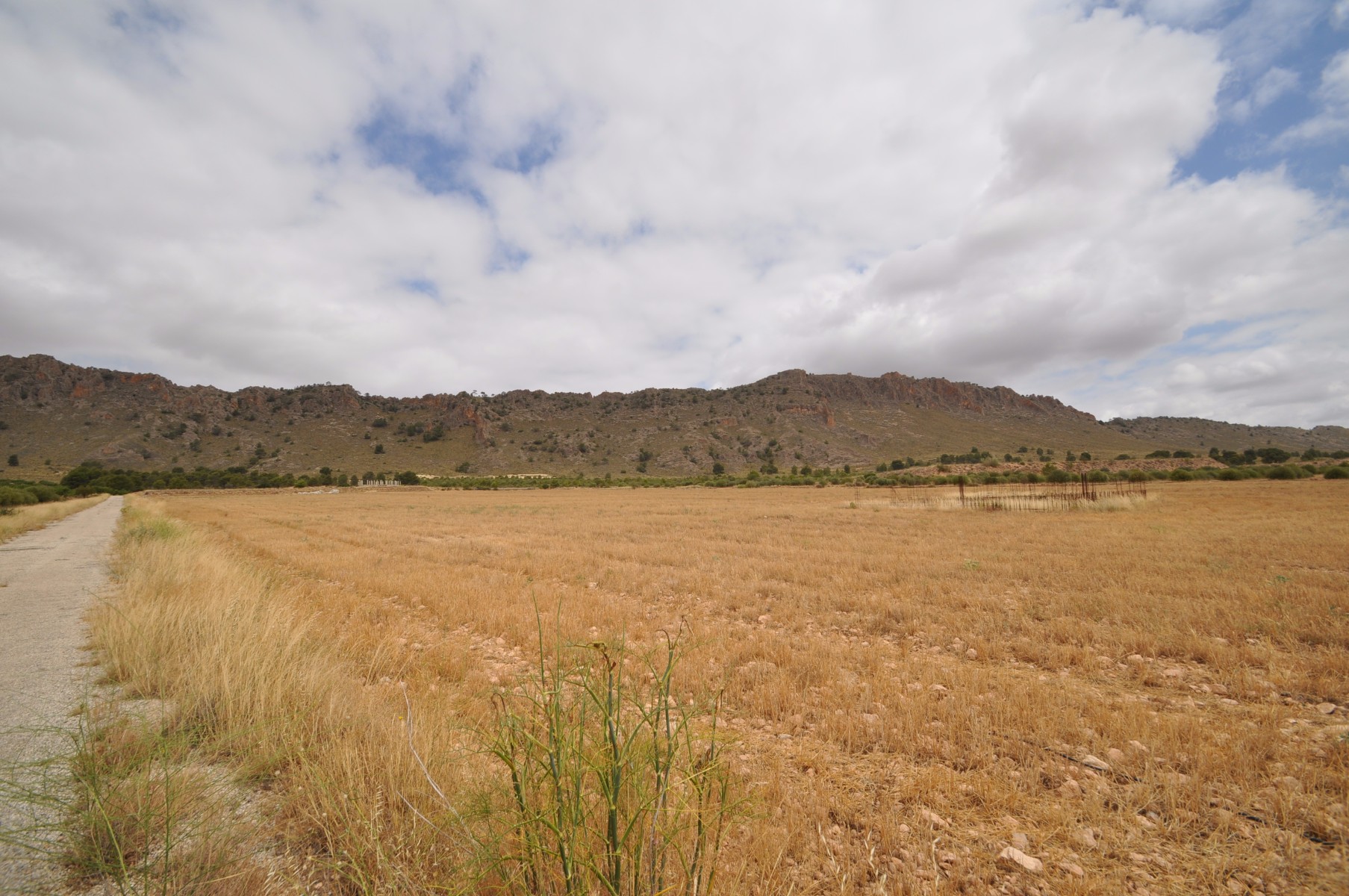 Bedroom in land for sale in Yecla
