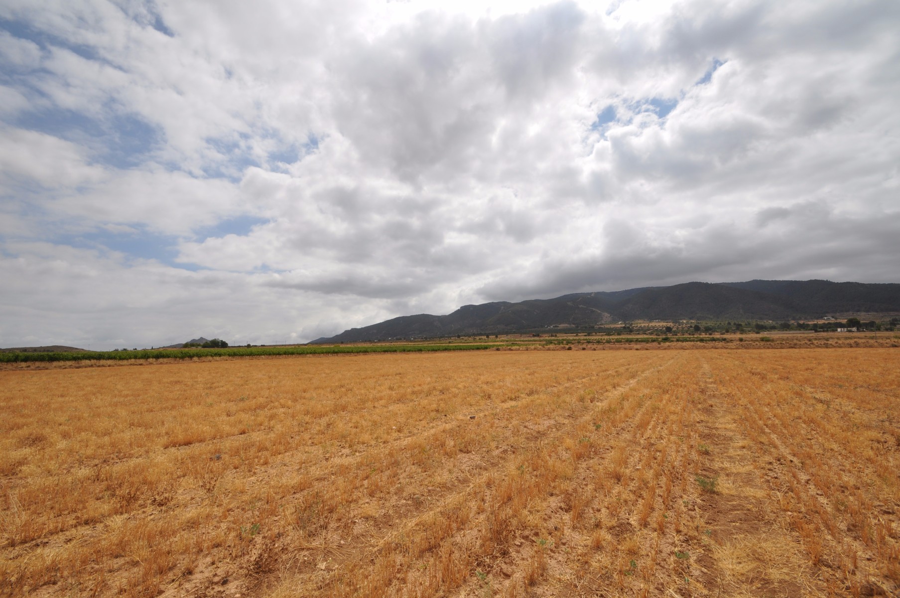 Kitchen in land for sale in Yecla