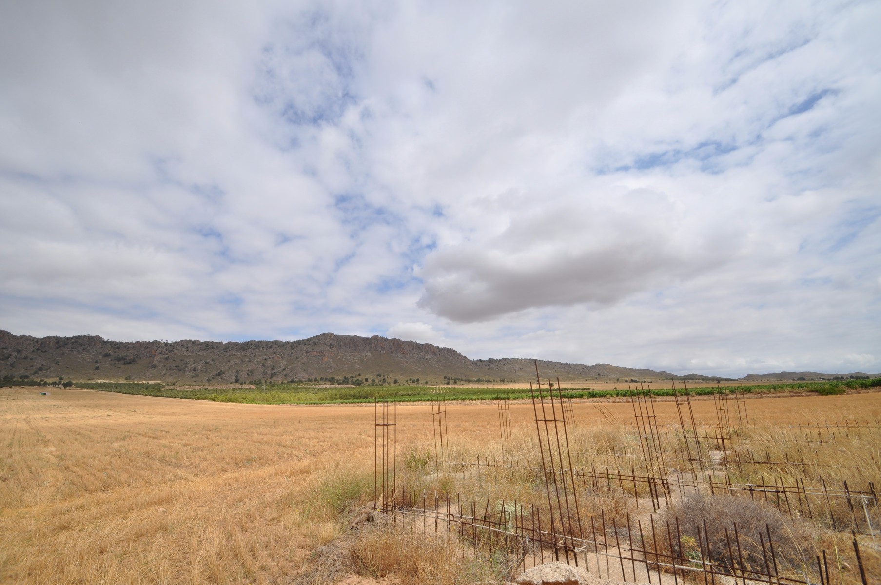 Terrace in land for sale in Yecla