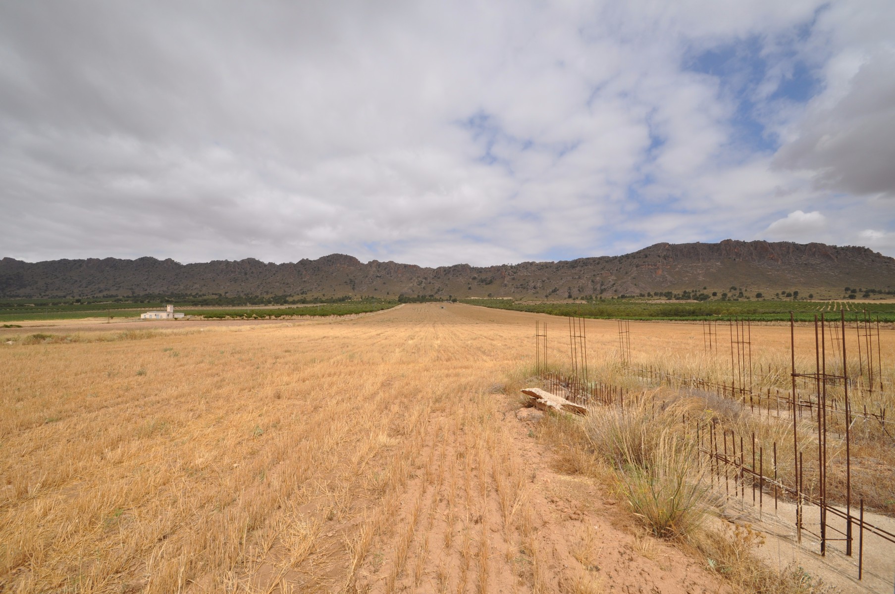 Pool area in land for sale in Yecla