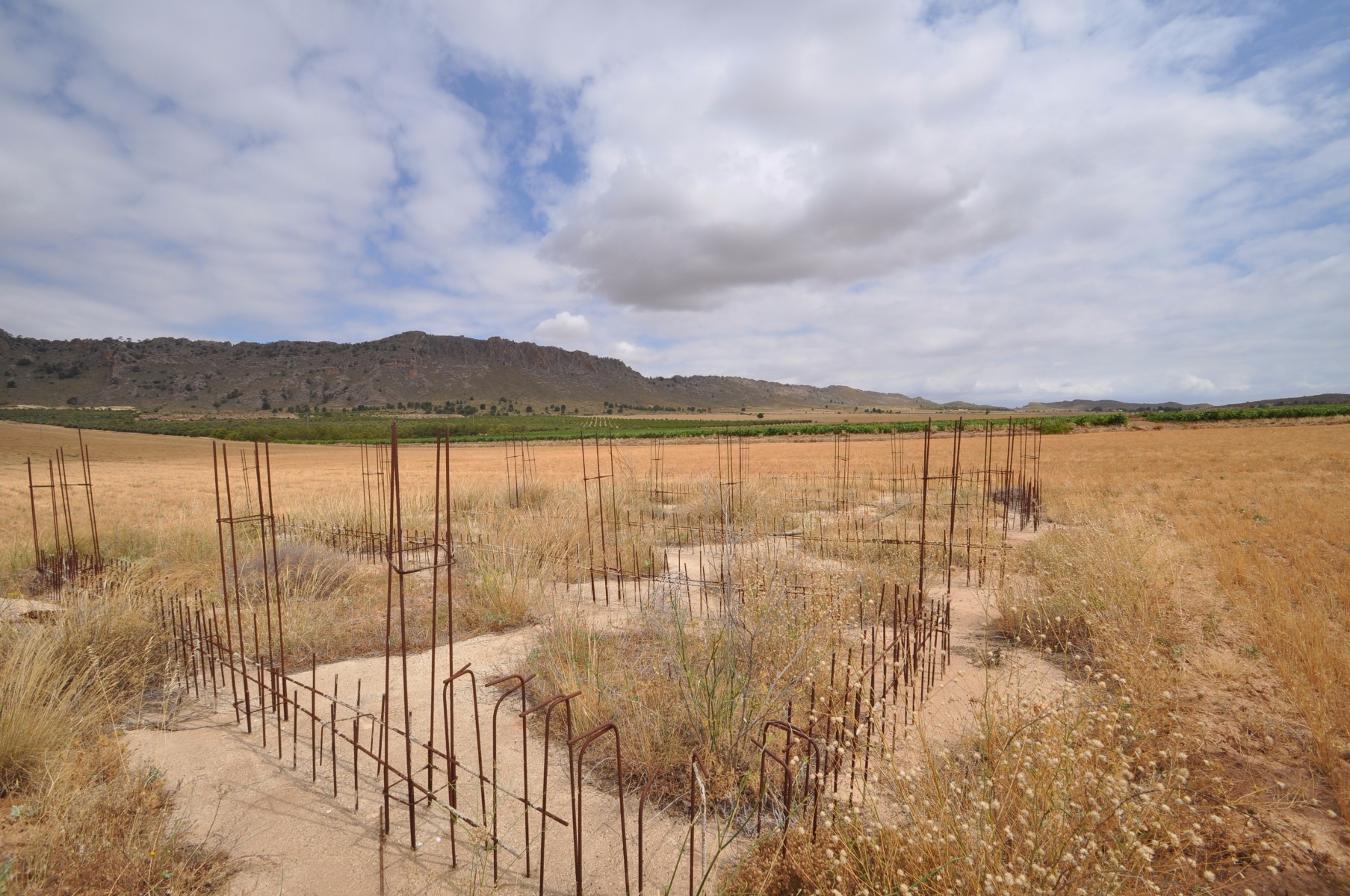 Garden in land for sale in Yecla