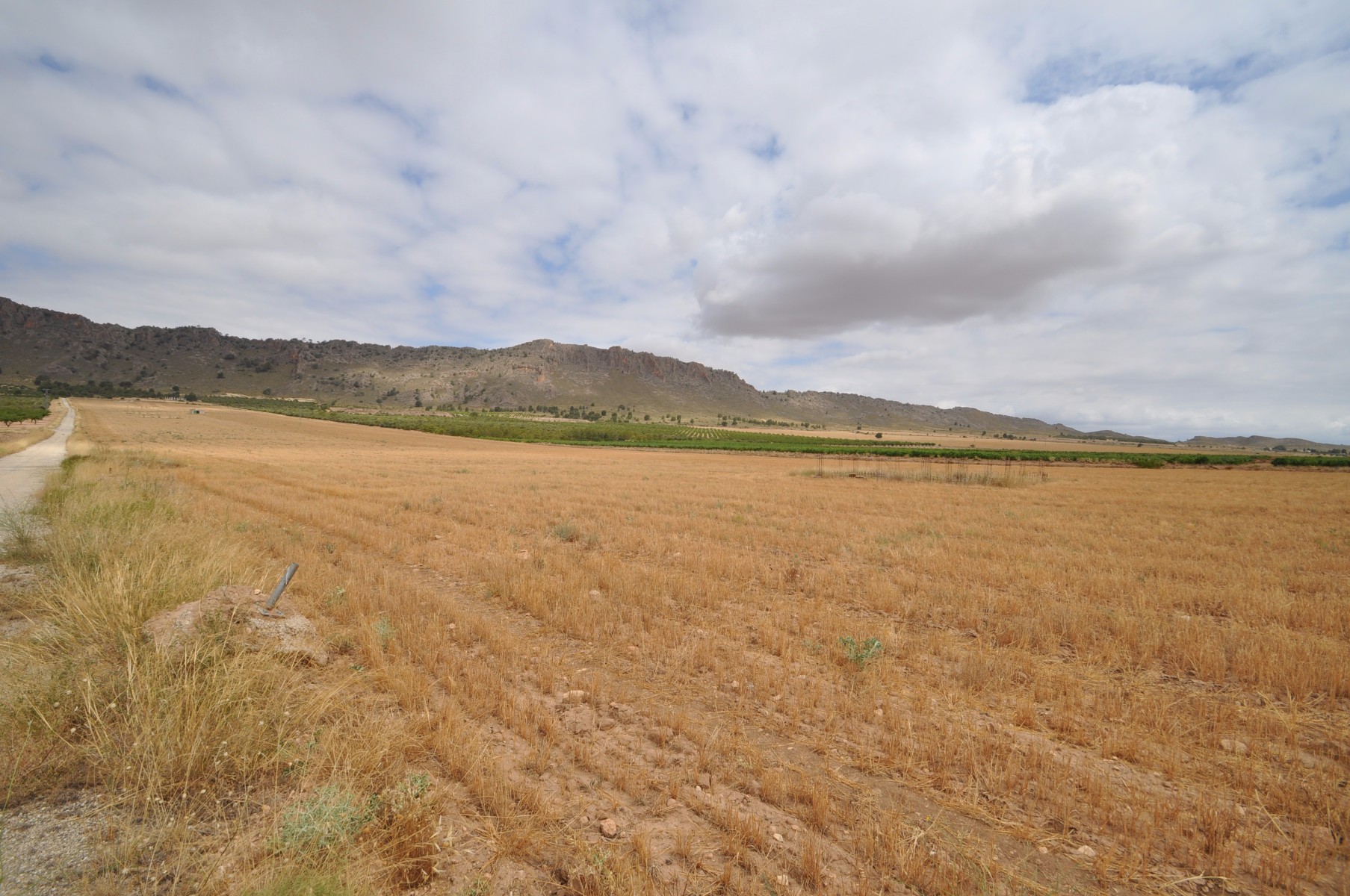 Bedroom in land for sale in Yecla