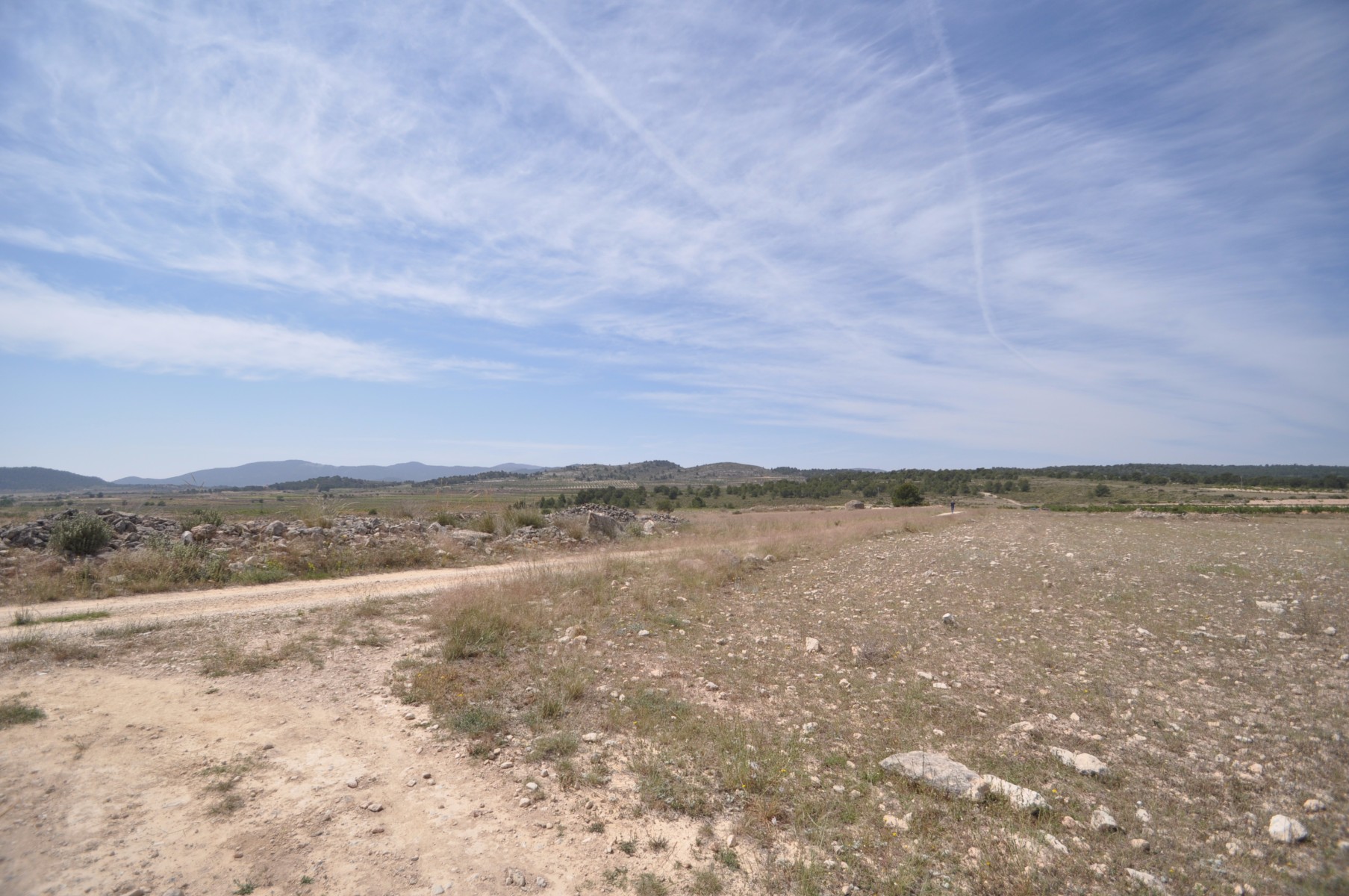 Living room in land for sale in Pinoso