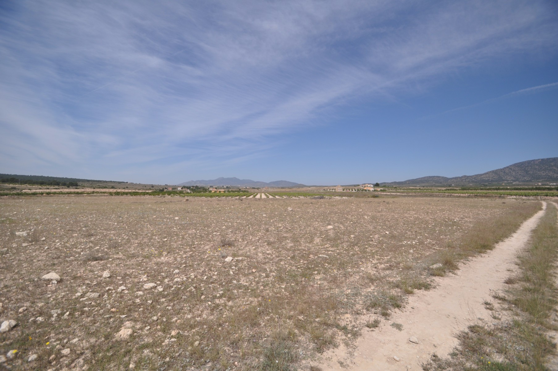 Kitchen in land for sale in Pinoso