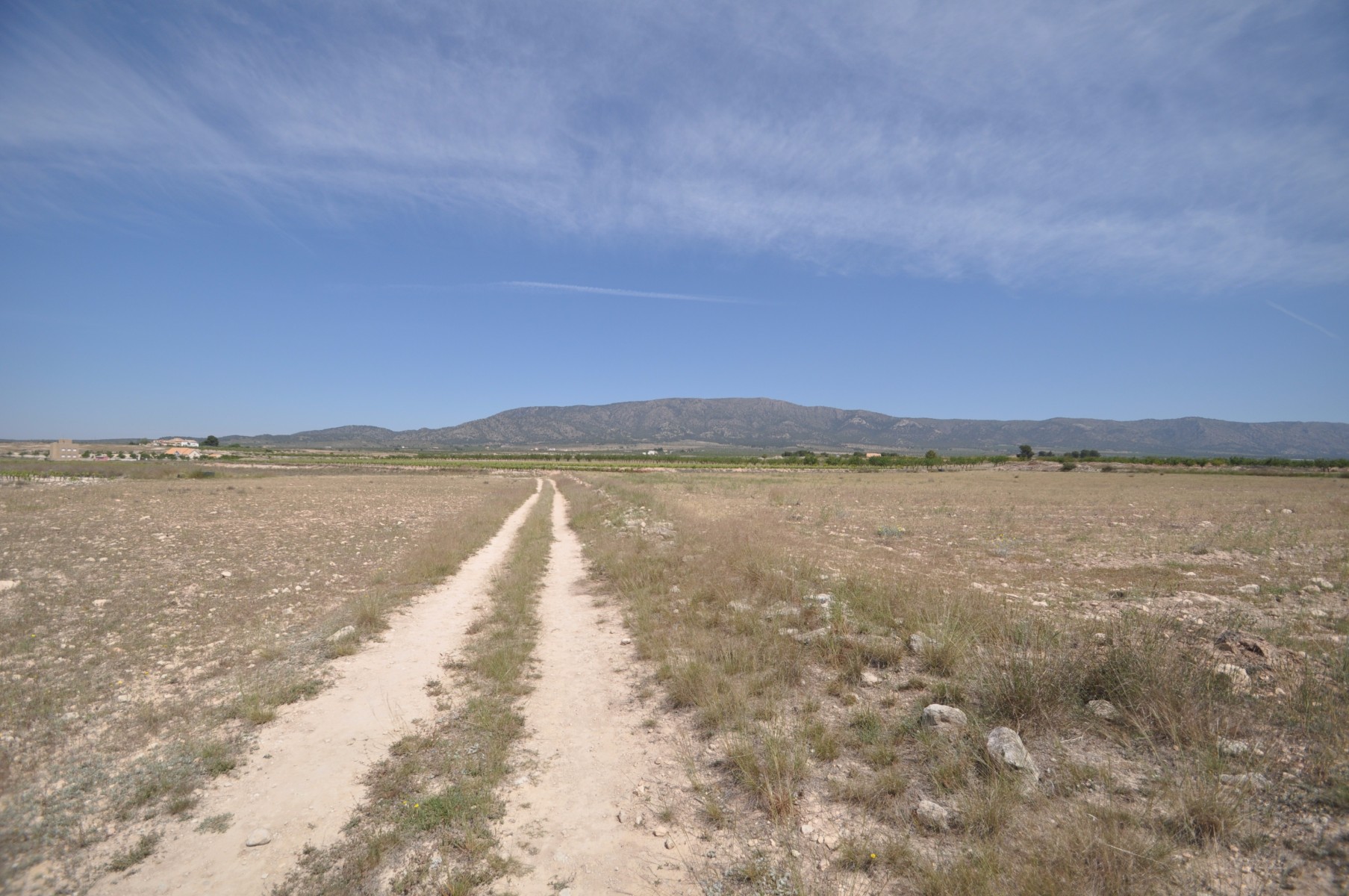 Master bedroom in land for sale in Pinoso