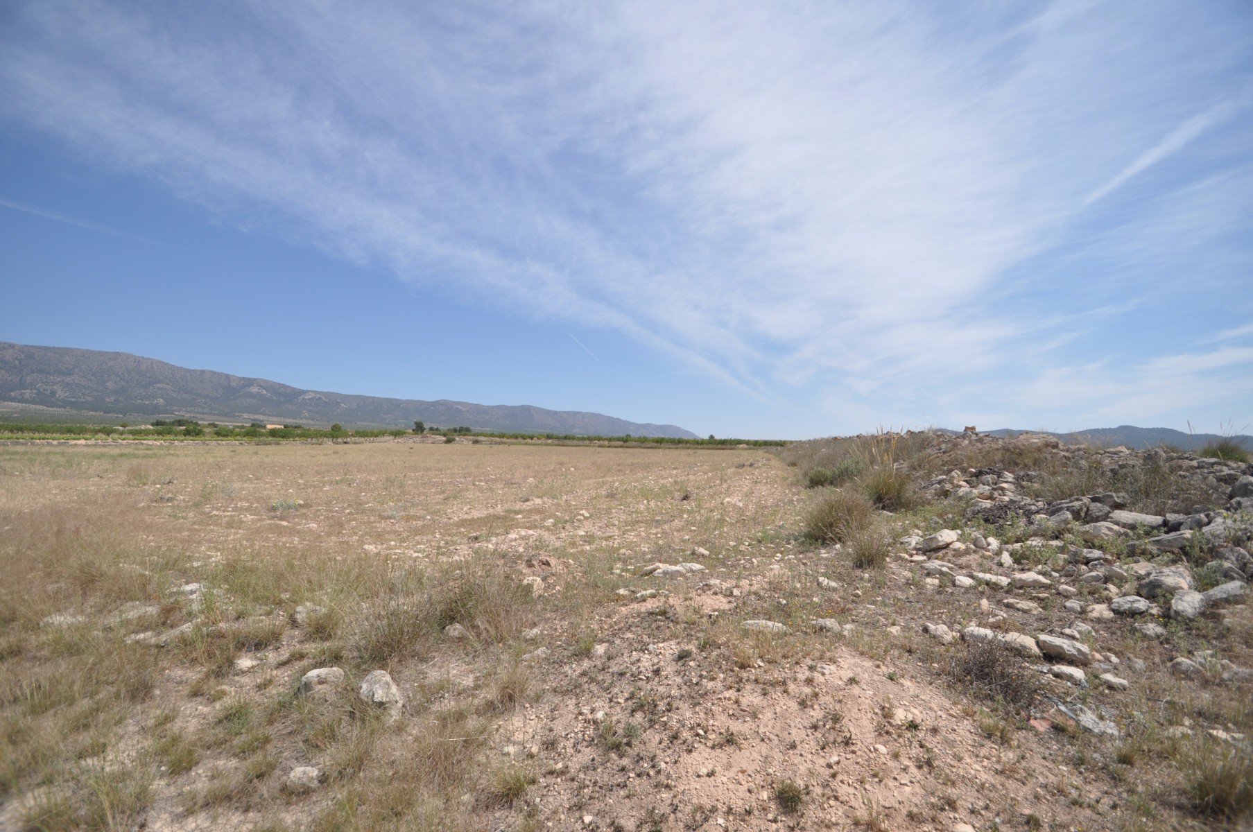 Bathroom in land for sale in Pinoso