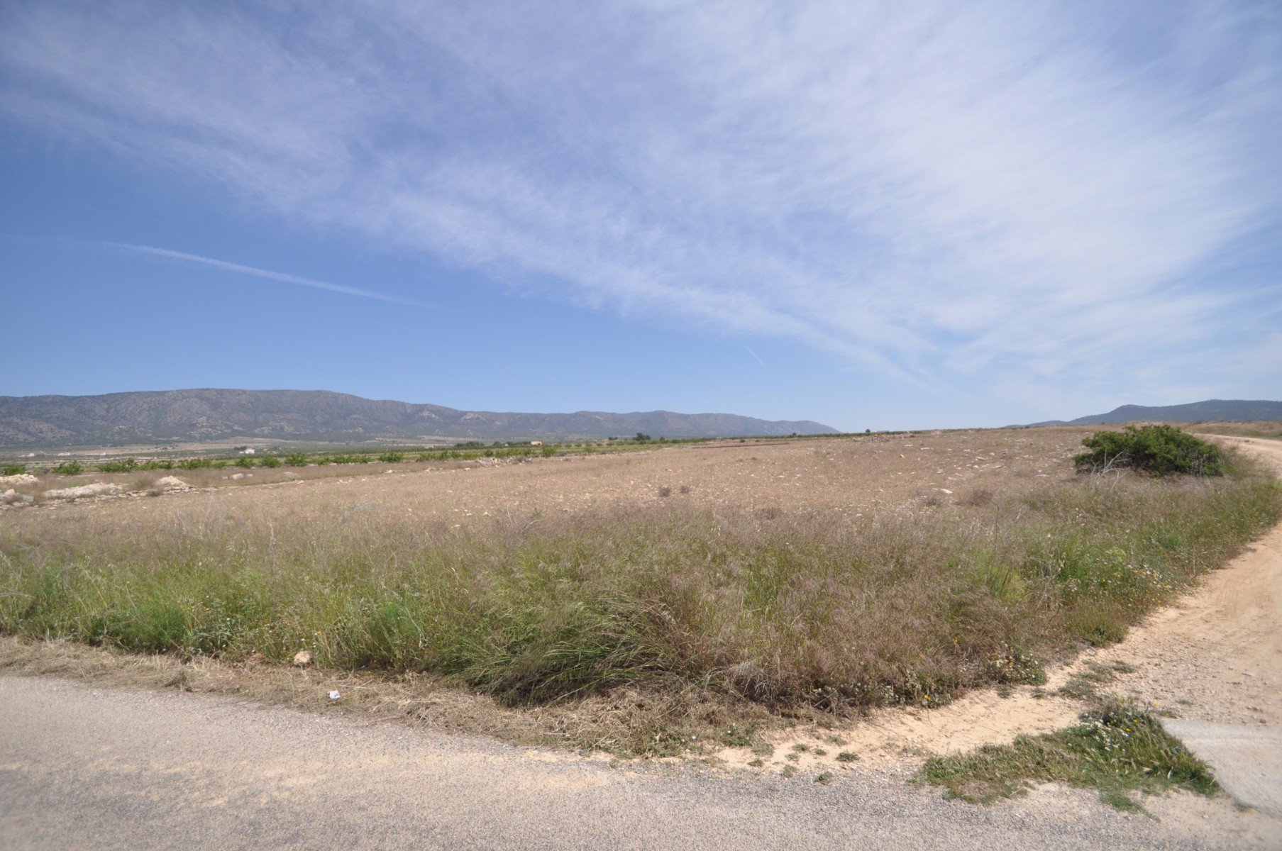 Terrace in land for sale in Pinoso