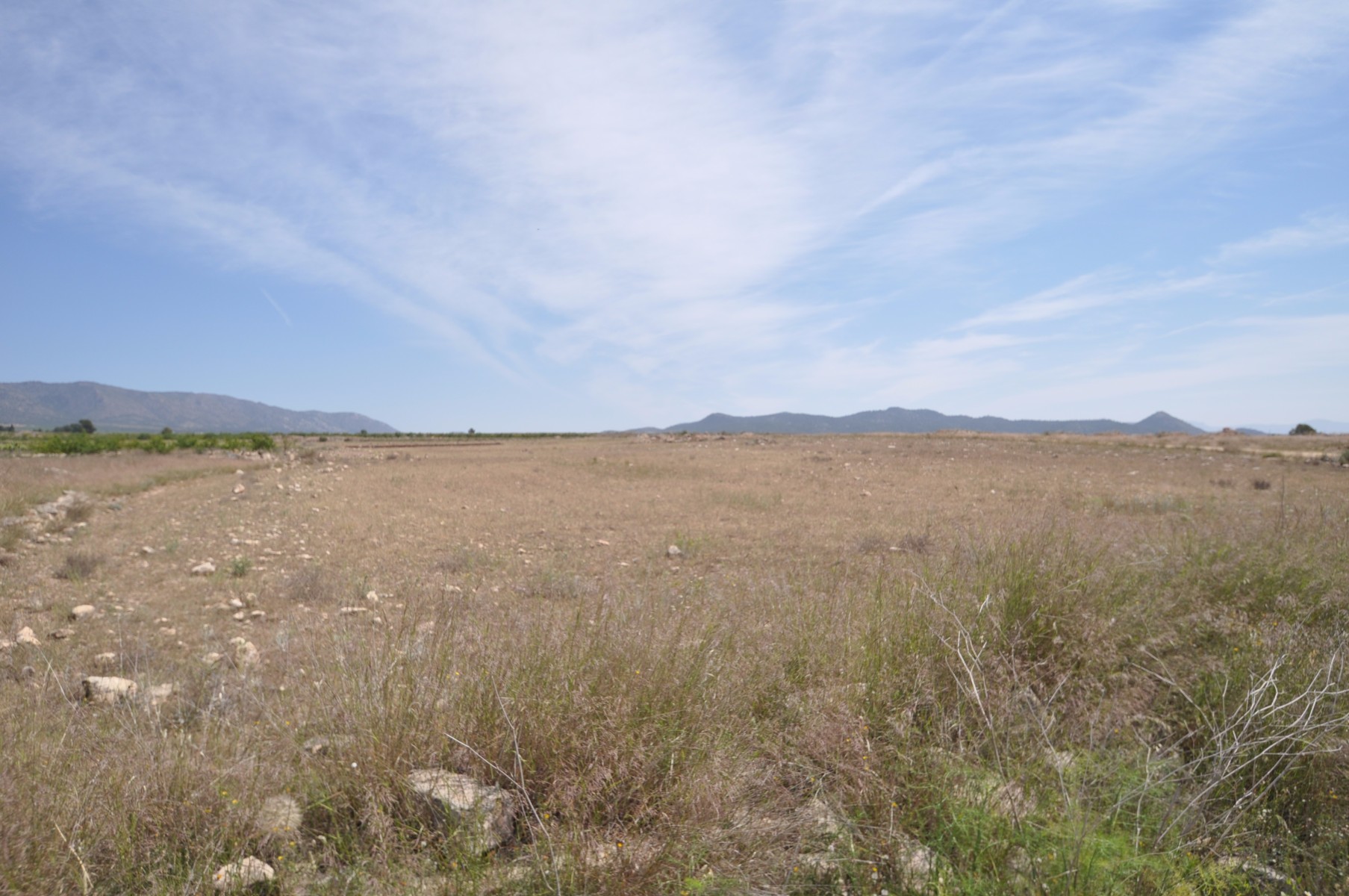 Pool area in land for sale in Pinoso