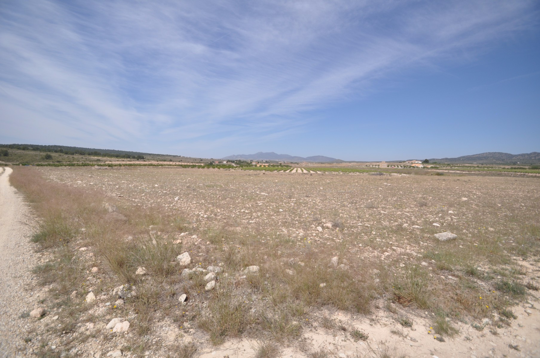 Dining area in land for sale in Pinoso