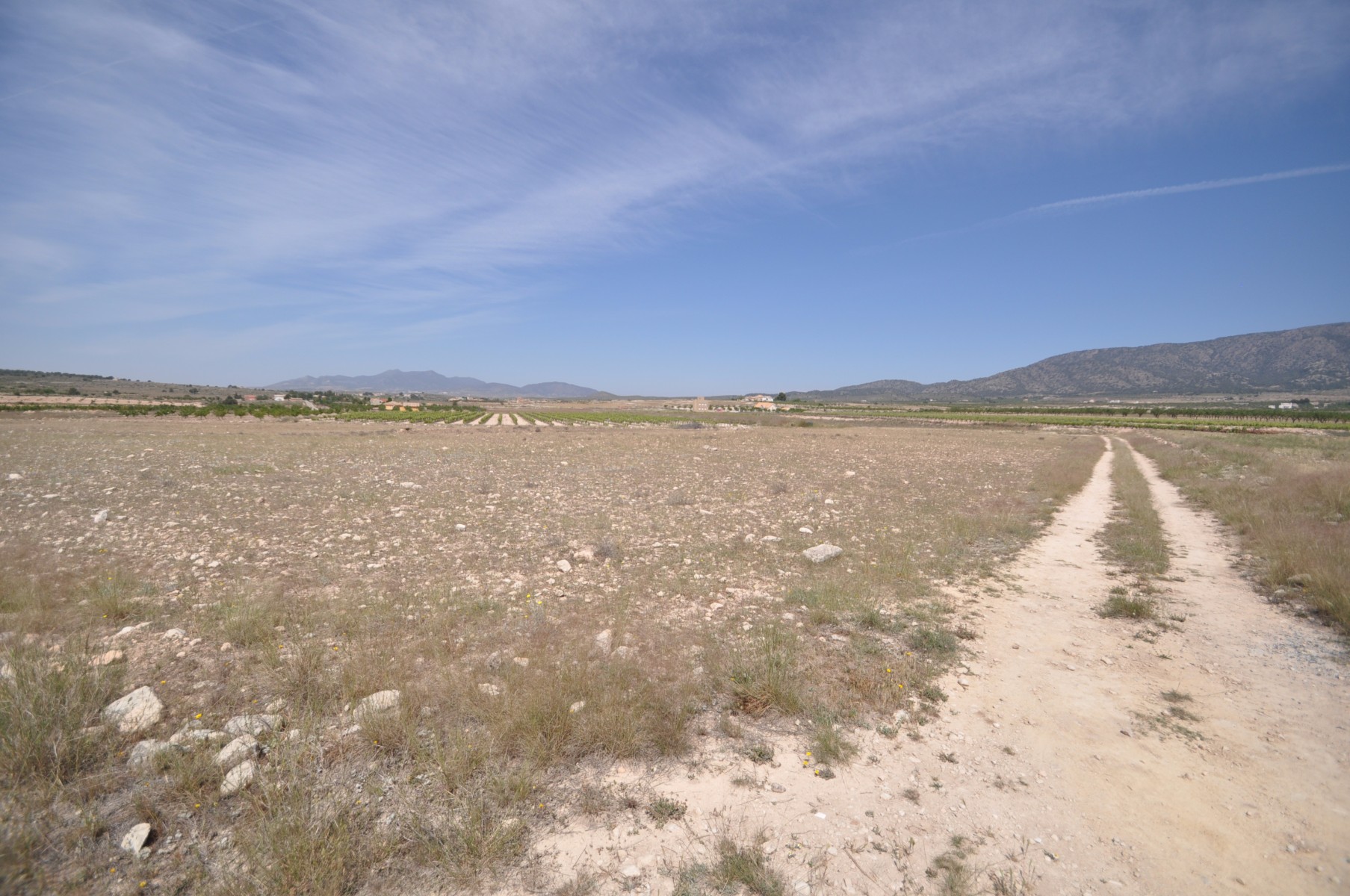Bedroom in land for sale in Pinoso