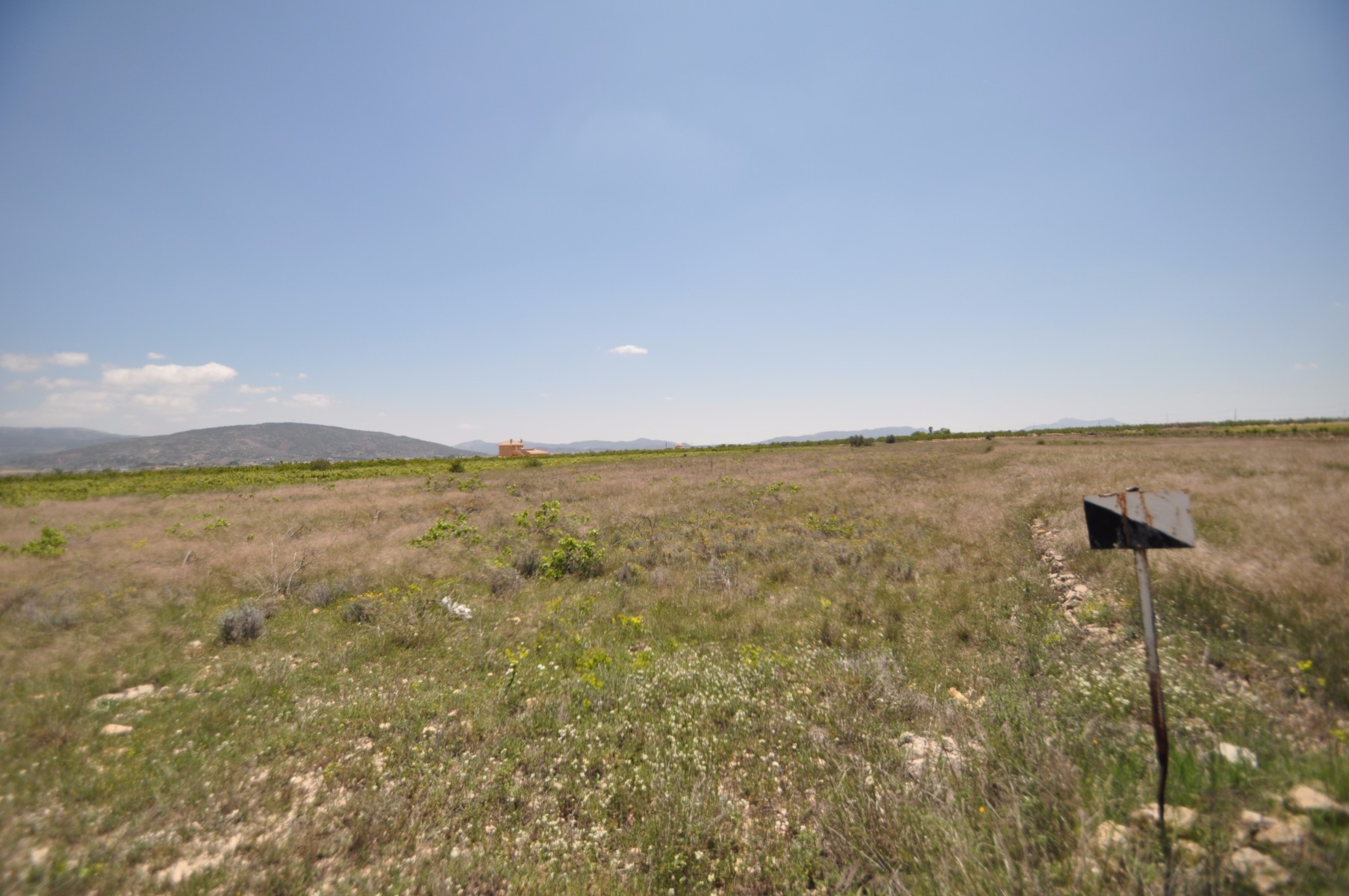 Living room in land for sale in Pinoso