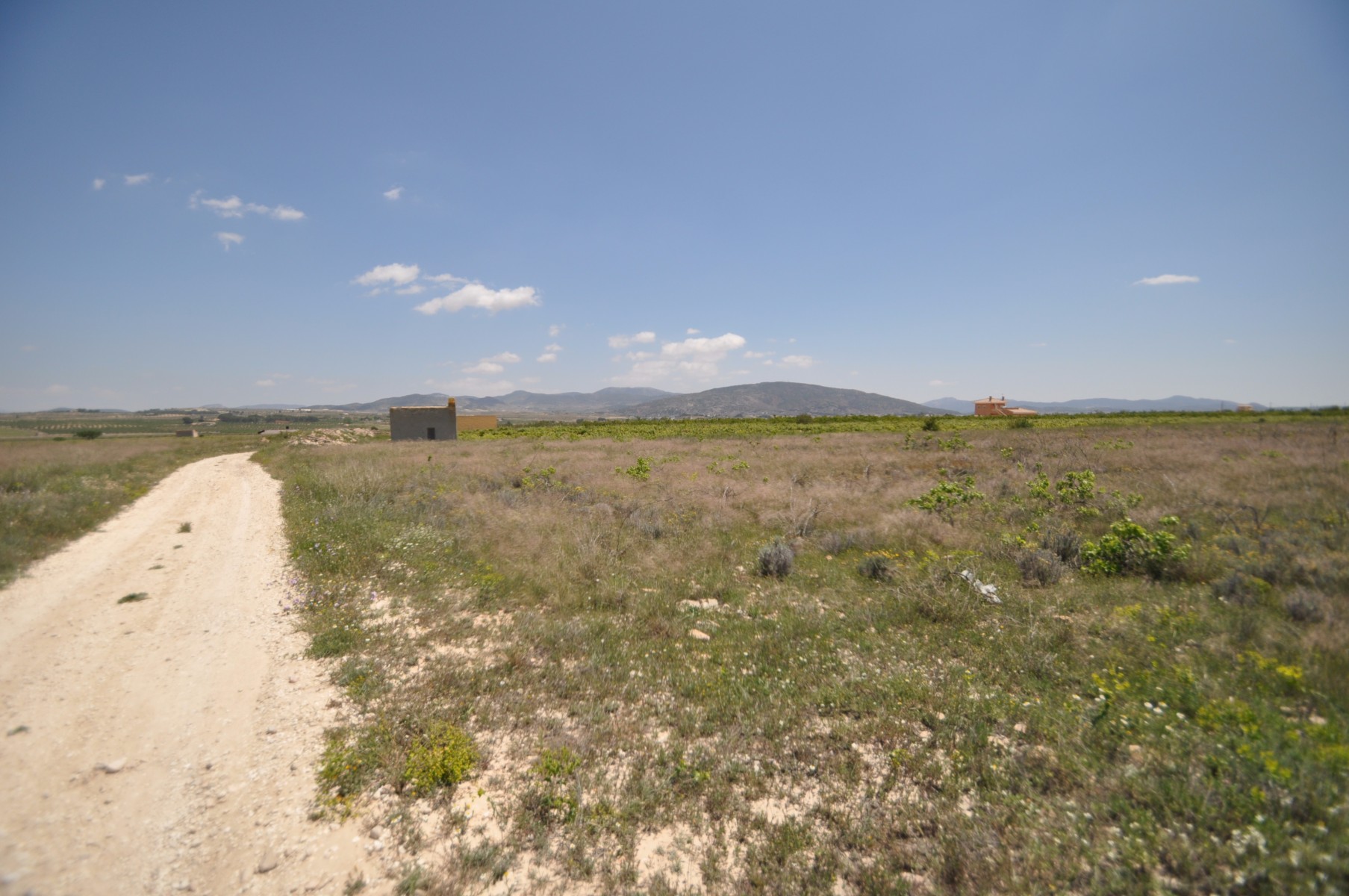 Master bedroom in land for sale in Pinoso