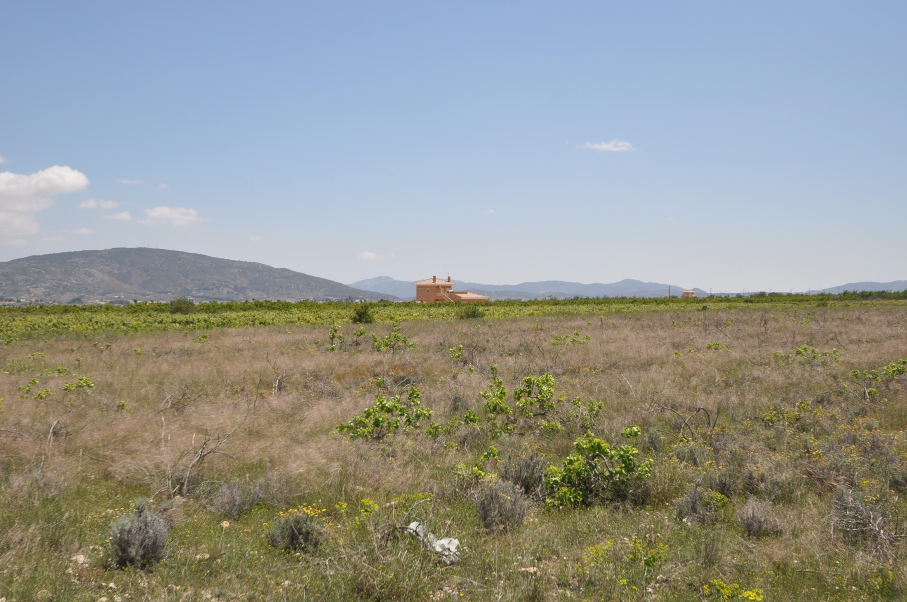 Bathroom in land for sale in Pinoso