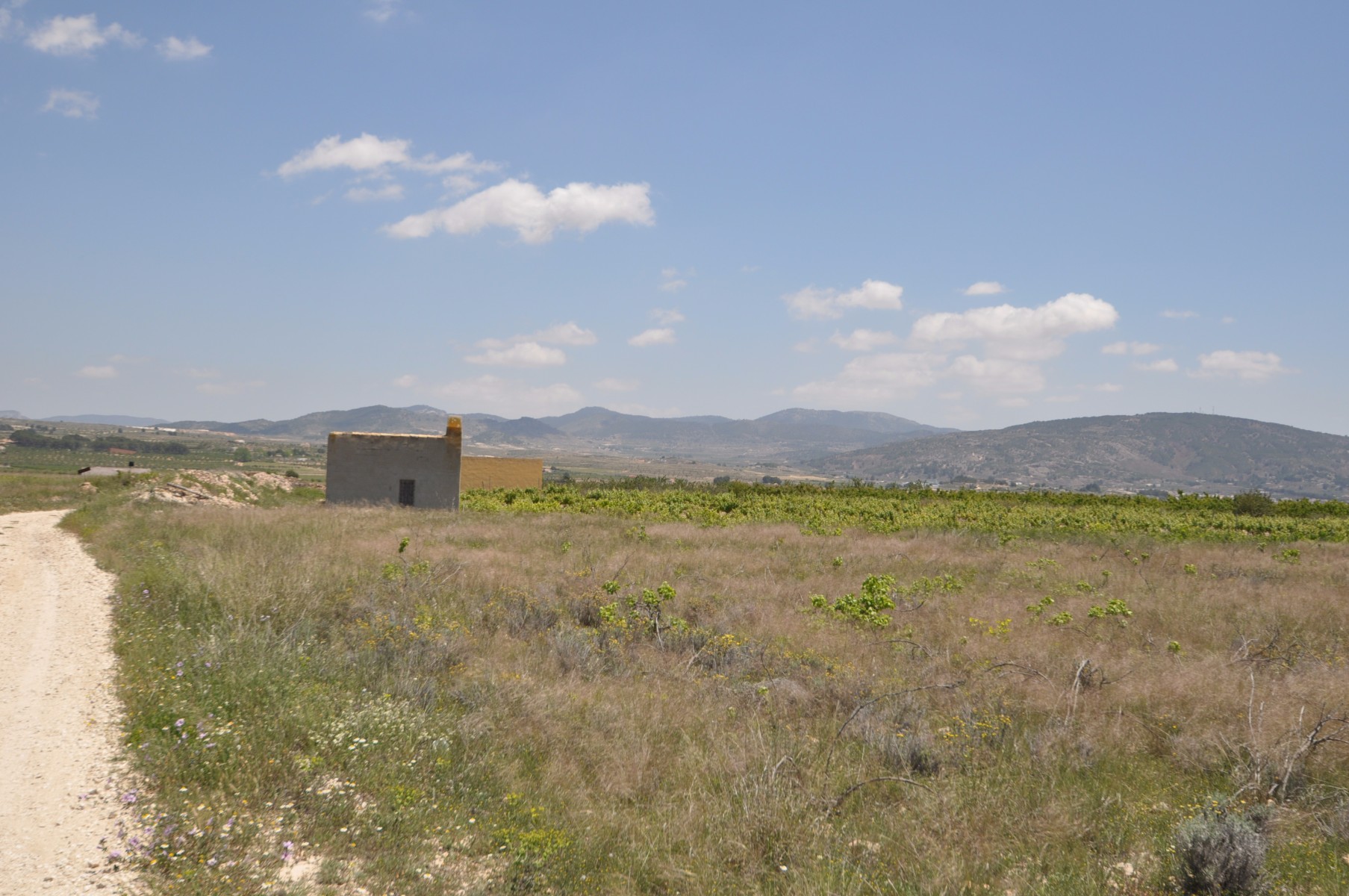 Terrace in land for sale in Pinoso