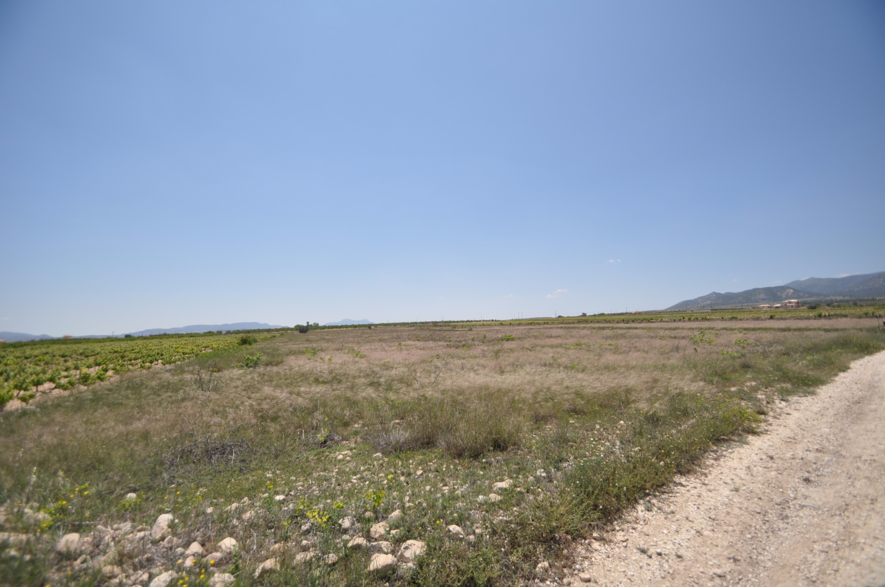 Dining area in land for sale in Pinoso