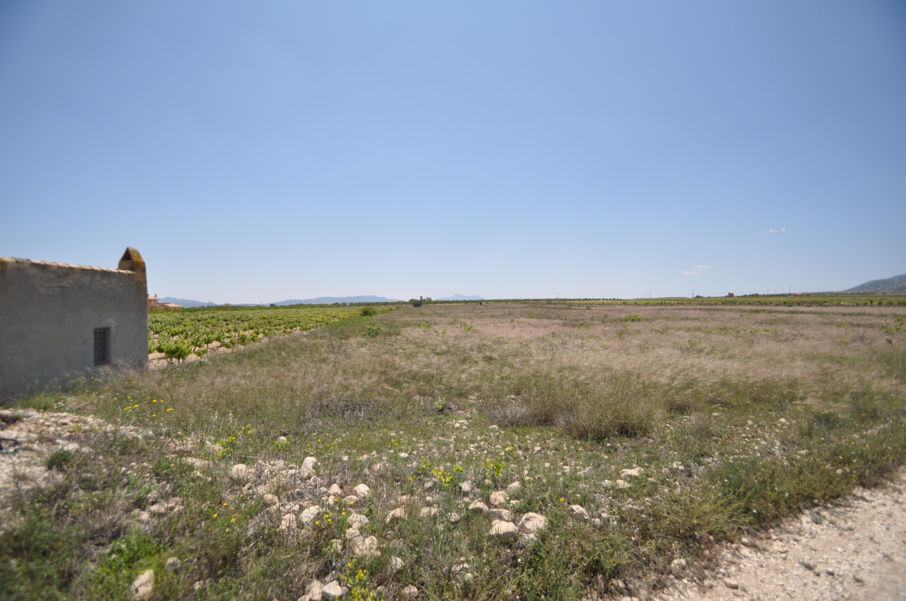 Bedroom in land for sale in Pinoso
