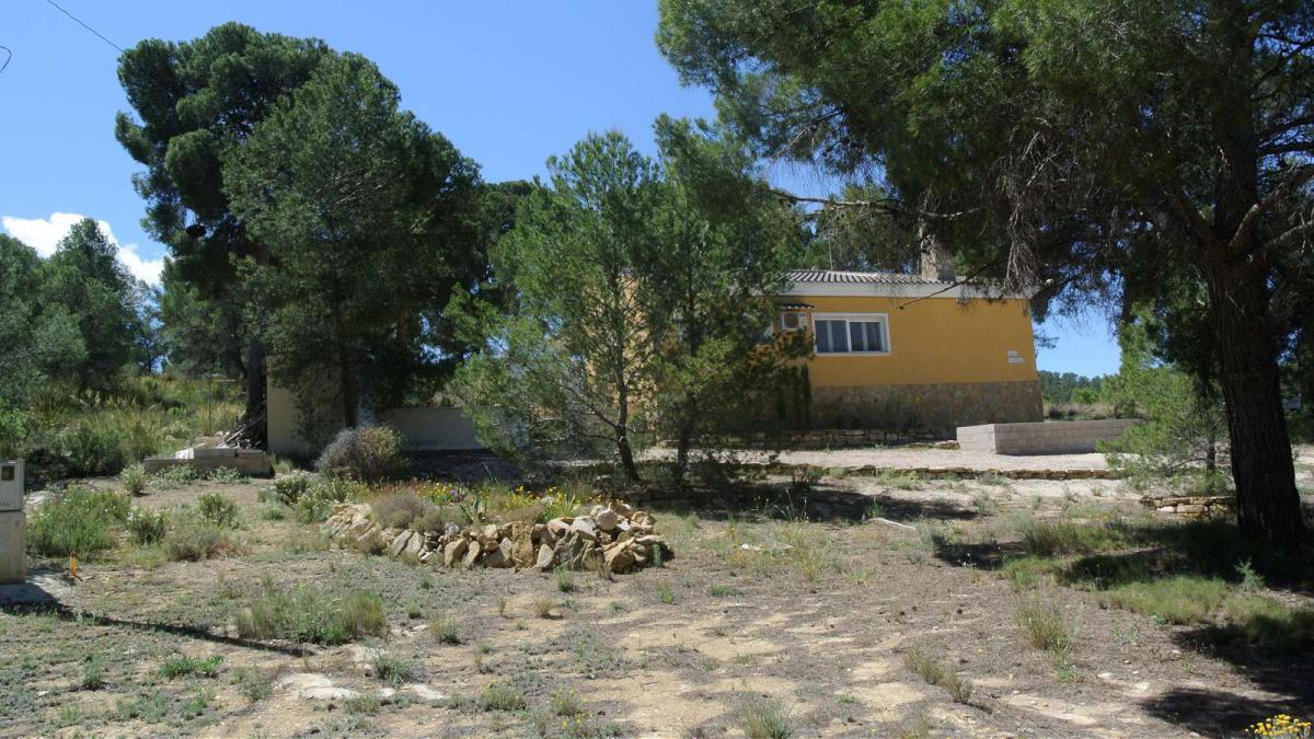 Exterior view in villa for sale in Jumilla