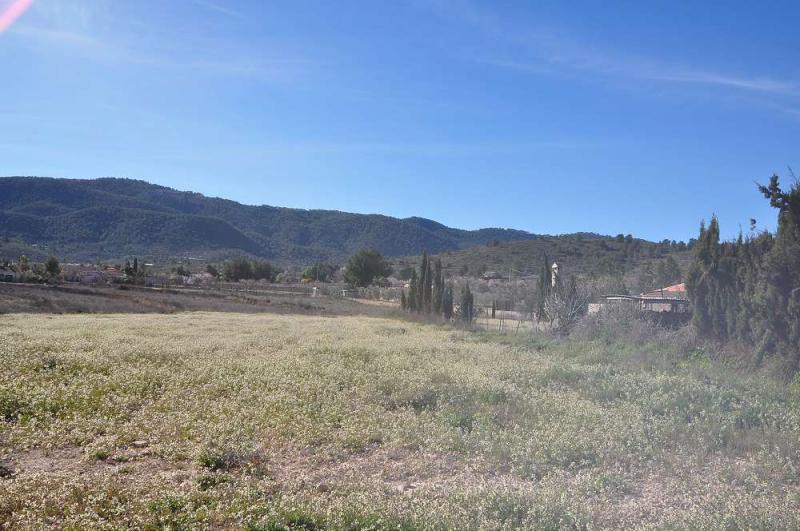 Garden in land for sale in Chinorlet