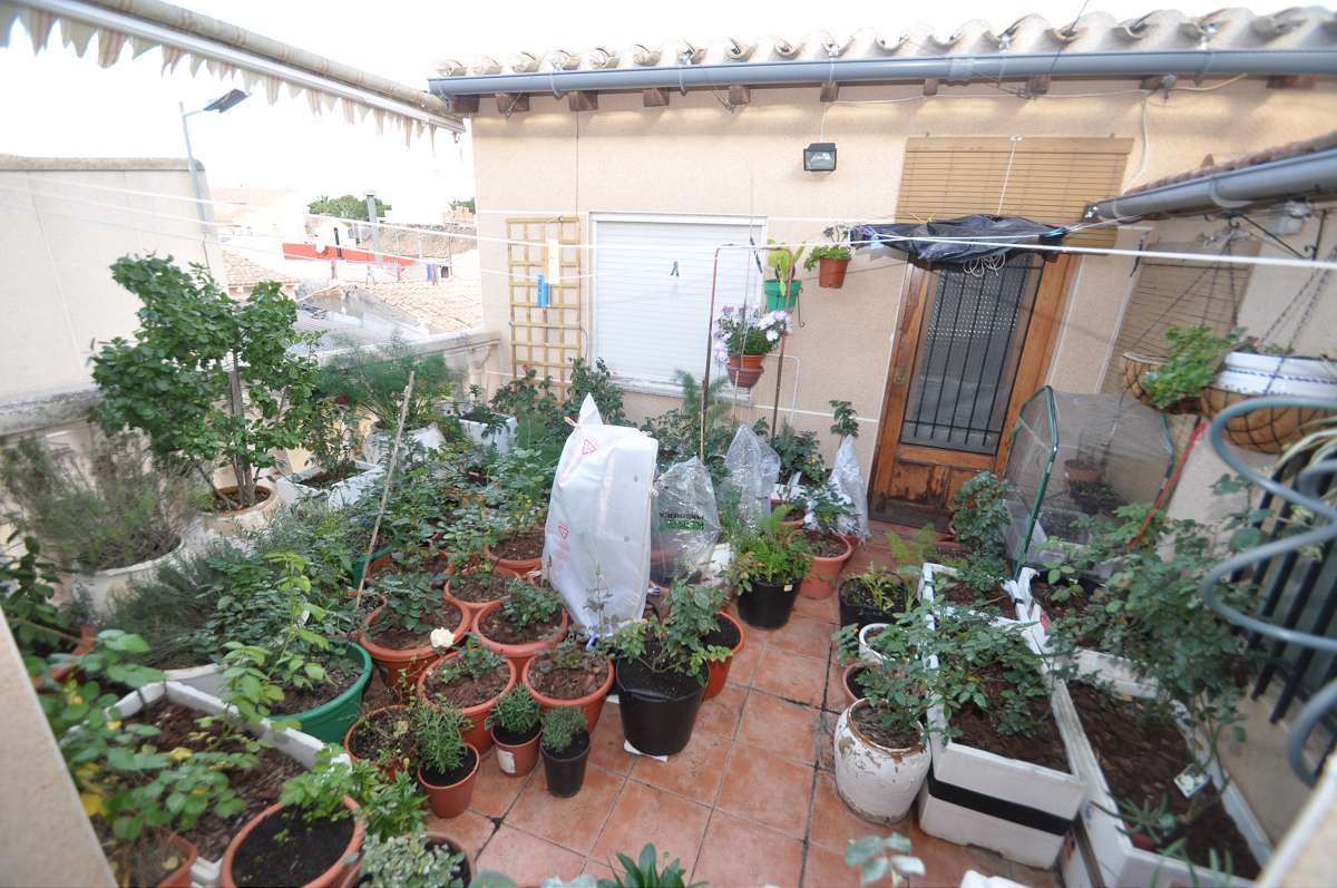 Garden in terraced for sale in Pinoso