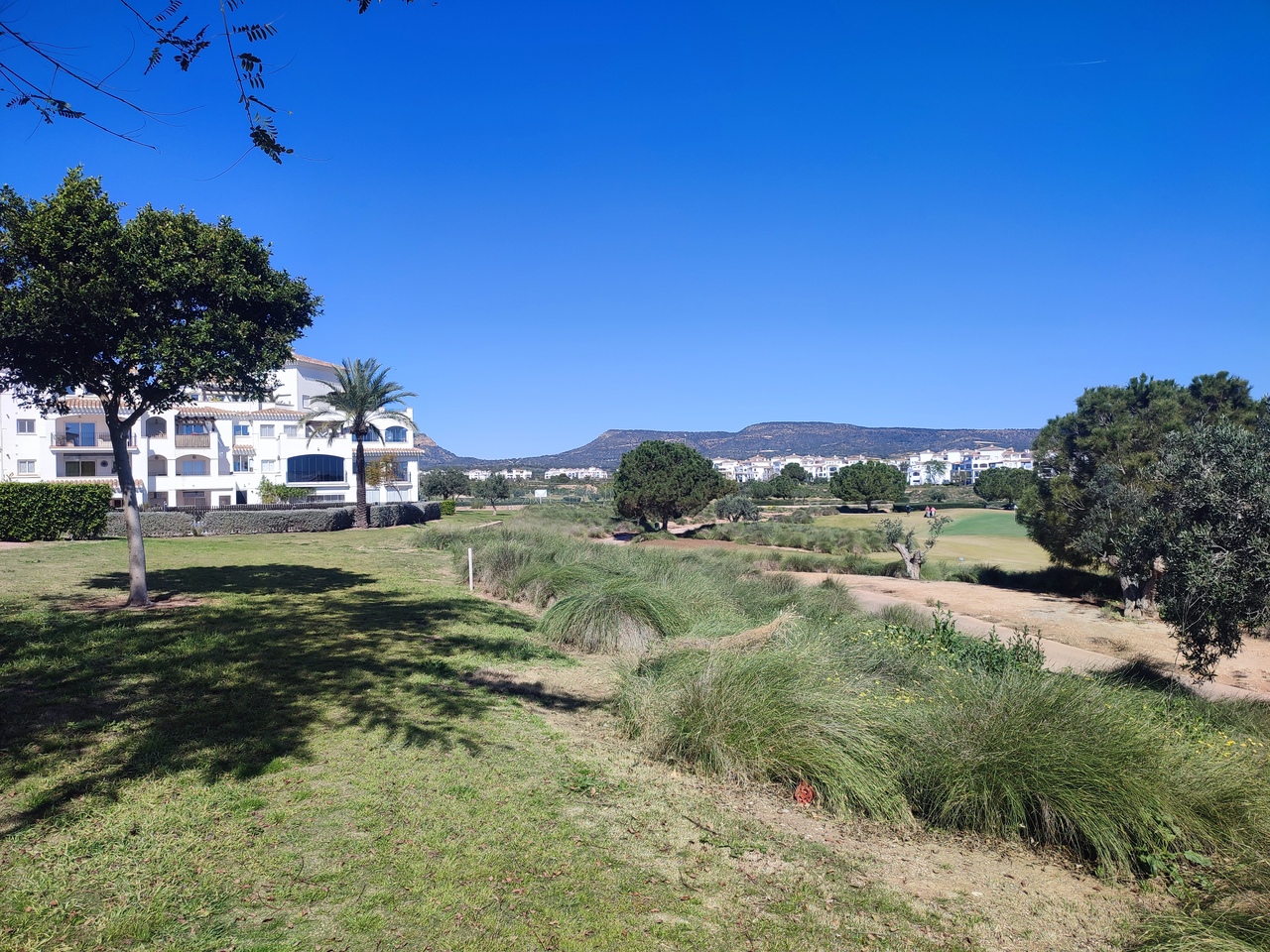 Terrace in apartment for sale in Hacienda Riquelme Golf Resort