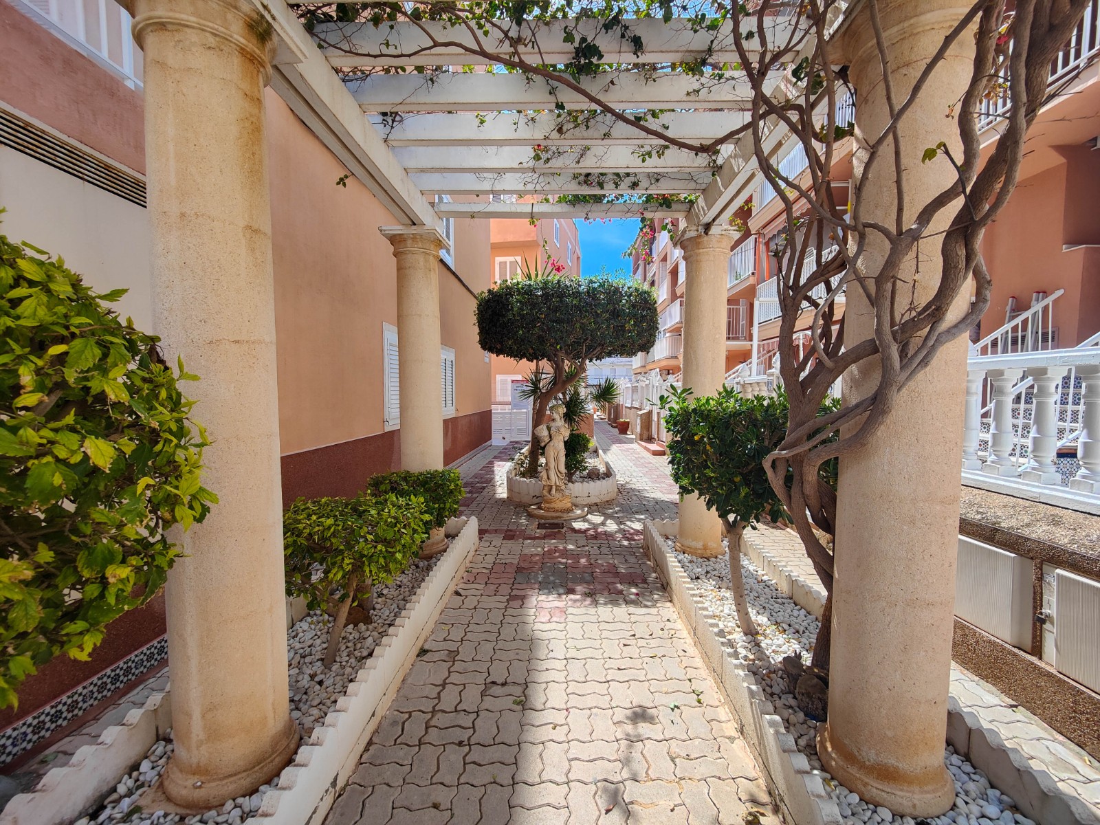 Pool area in penthouse for sale in Torrevieja