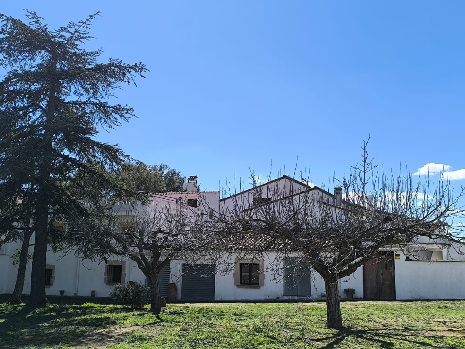 Terrace in commercial for sale in Banyeres De Mariola