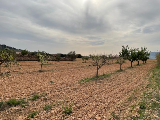 Bedroom in land for sale in Yecla