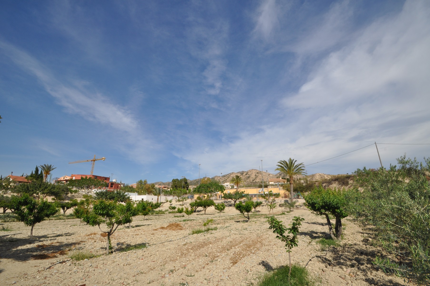 Terrace in commercial for sale in Abanilla