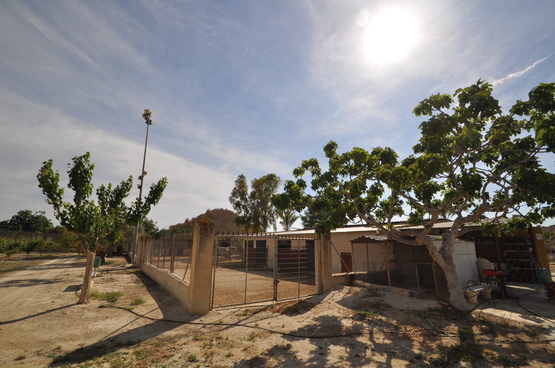 Garden in commercial for sale in Abanilla