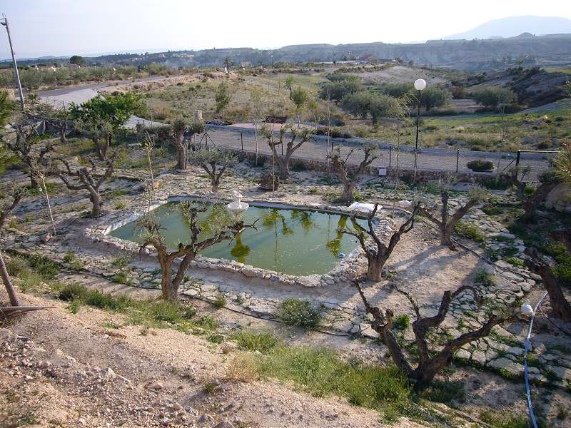 Exterior view in villa for sale in Abanilla