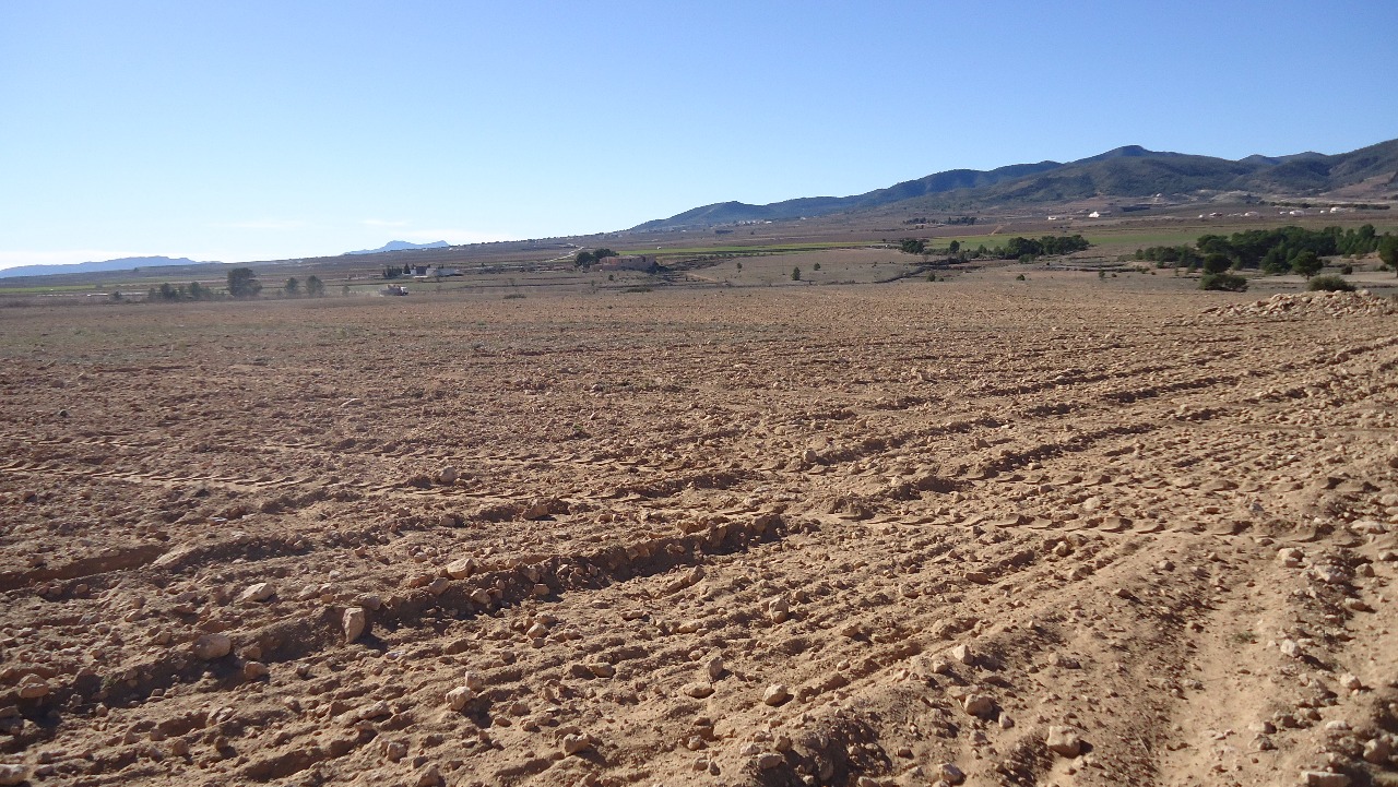 Bathroom in land for sale in Yecla