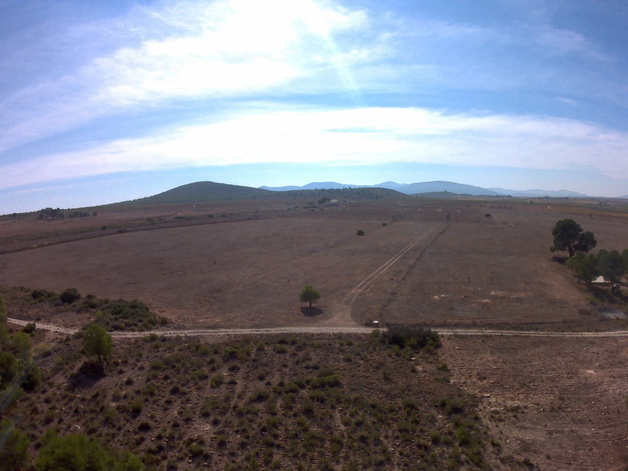 Garden in land for sale in Yecla