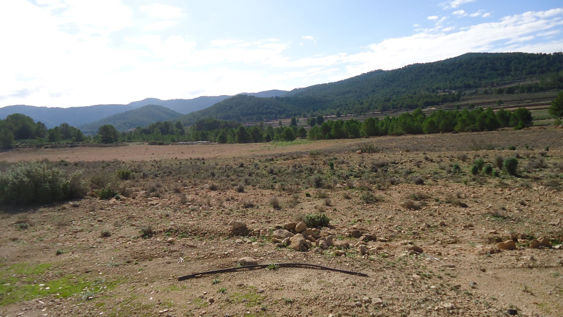 This 86,000m² building plot near Monovar offers a lush, green landscape with irrigation water readil