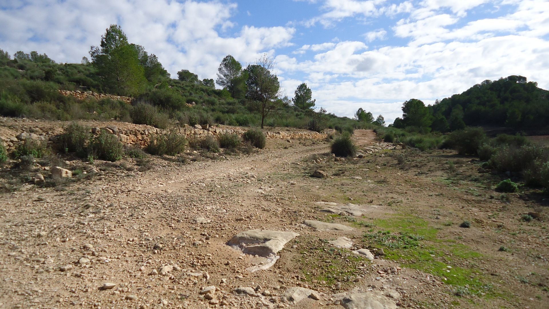Terrace in land for sale in Monóvar/Monóver
