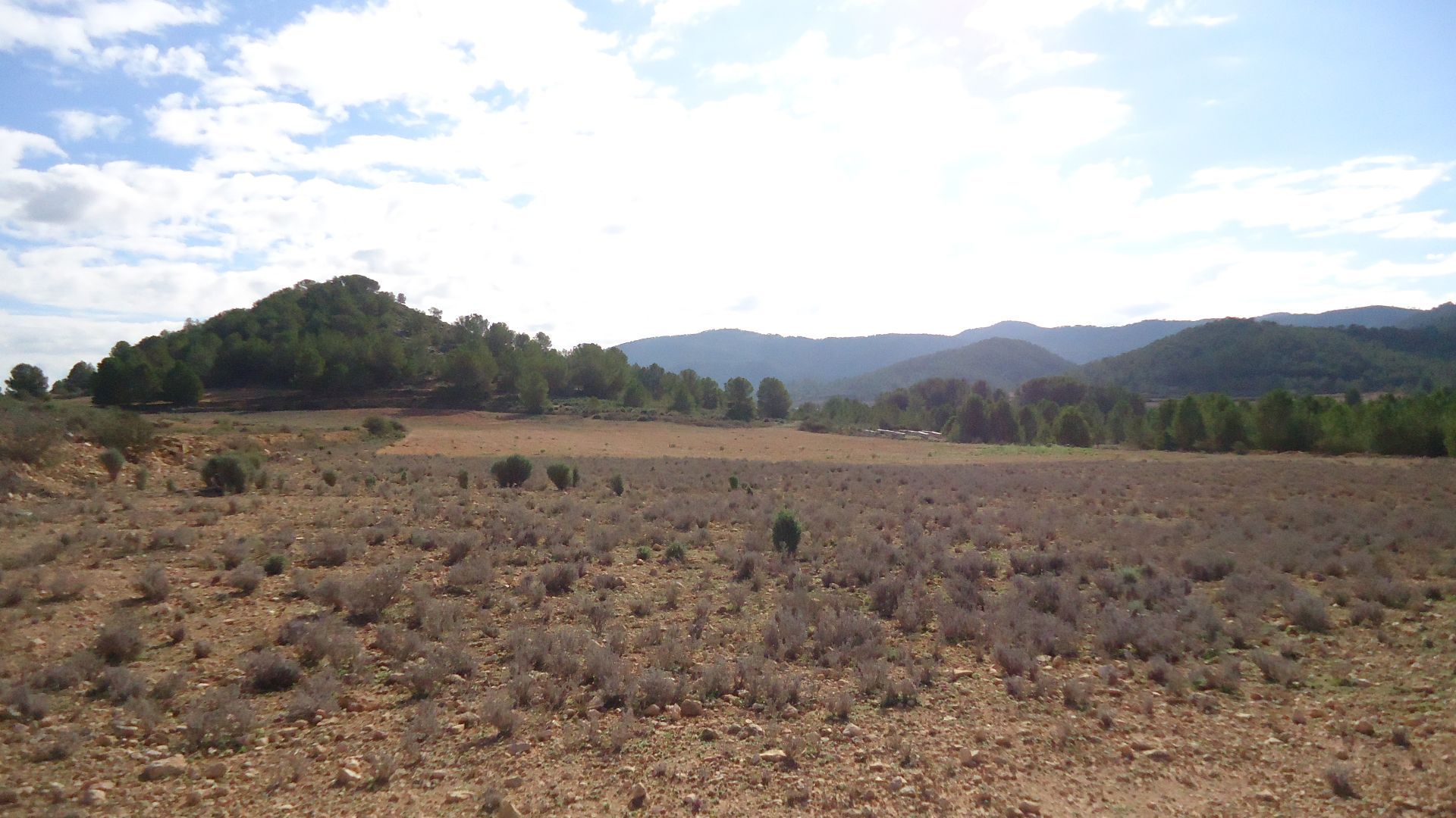 Garden in land for sale in Monóvar/Monóver