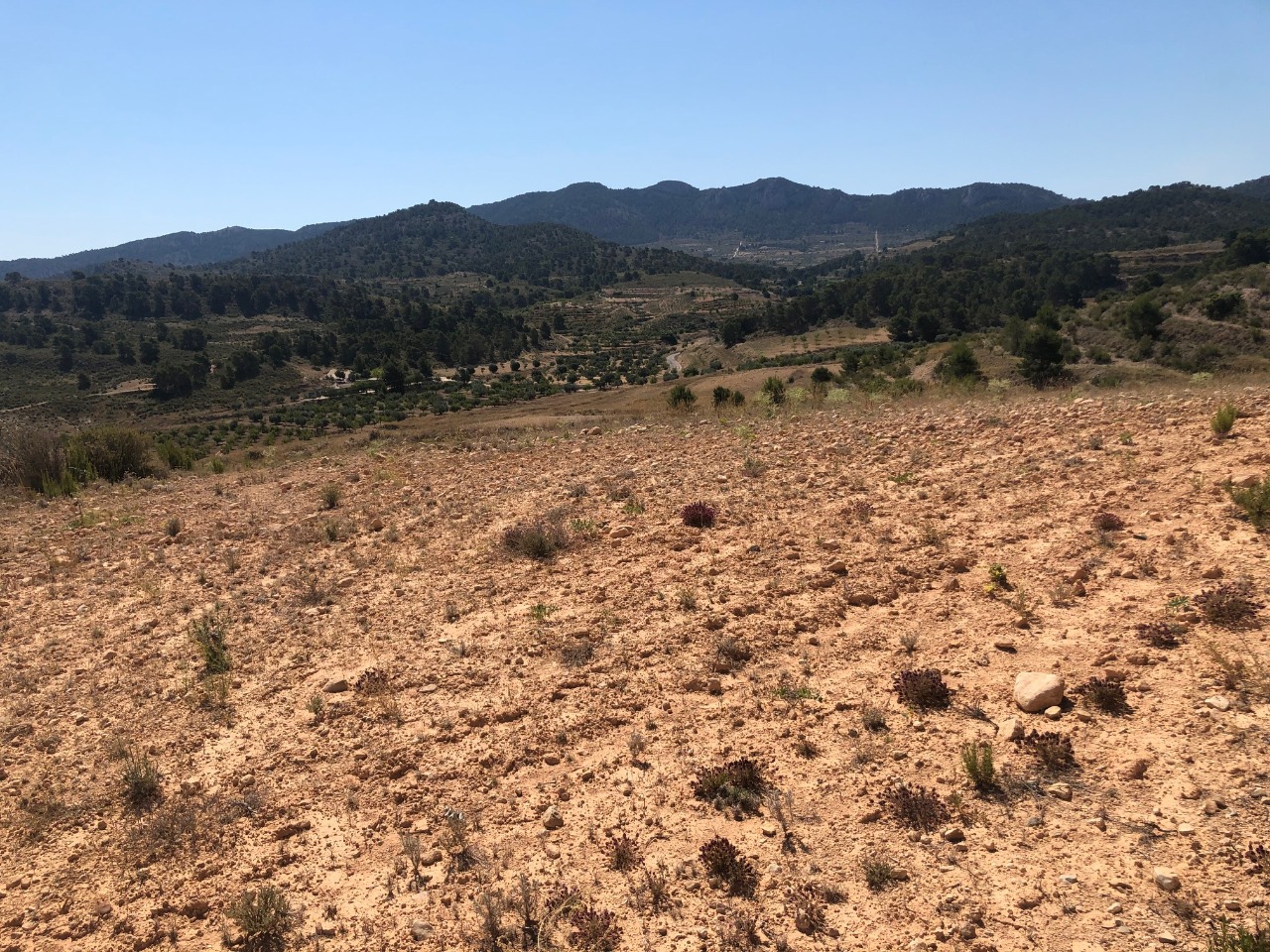 This exceptional plot of land lies in an area untouched by mining activities, providing panoramic 36