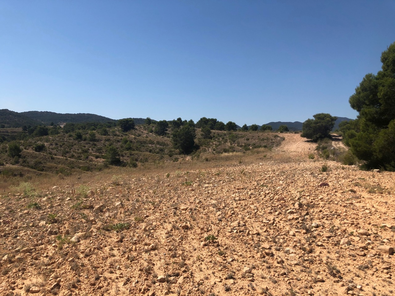 Terrace in land for sale in La Zarza