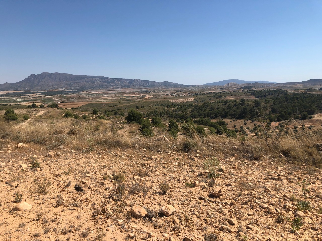 Garden in land for sale in La Zarza