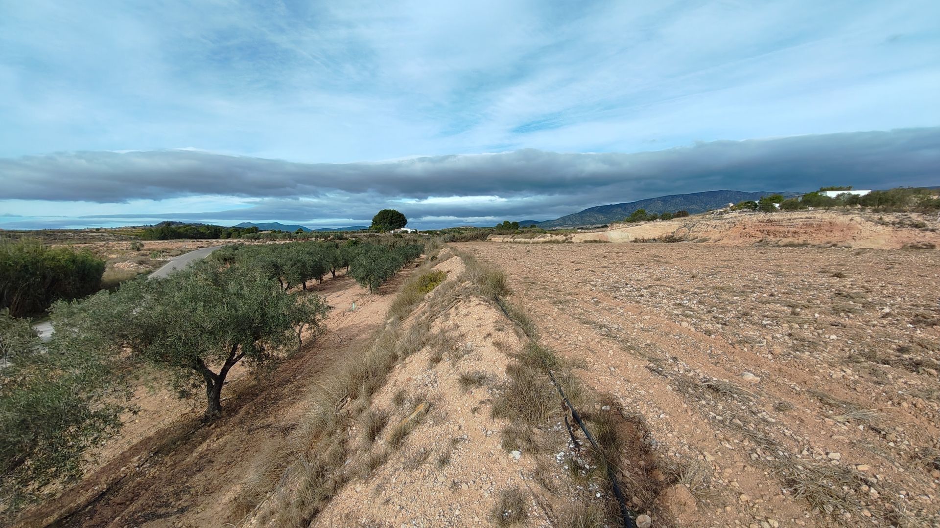 Garden in land for sale in Monóvar/Monóver