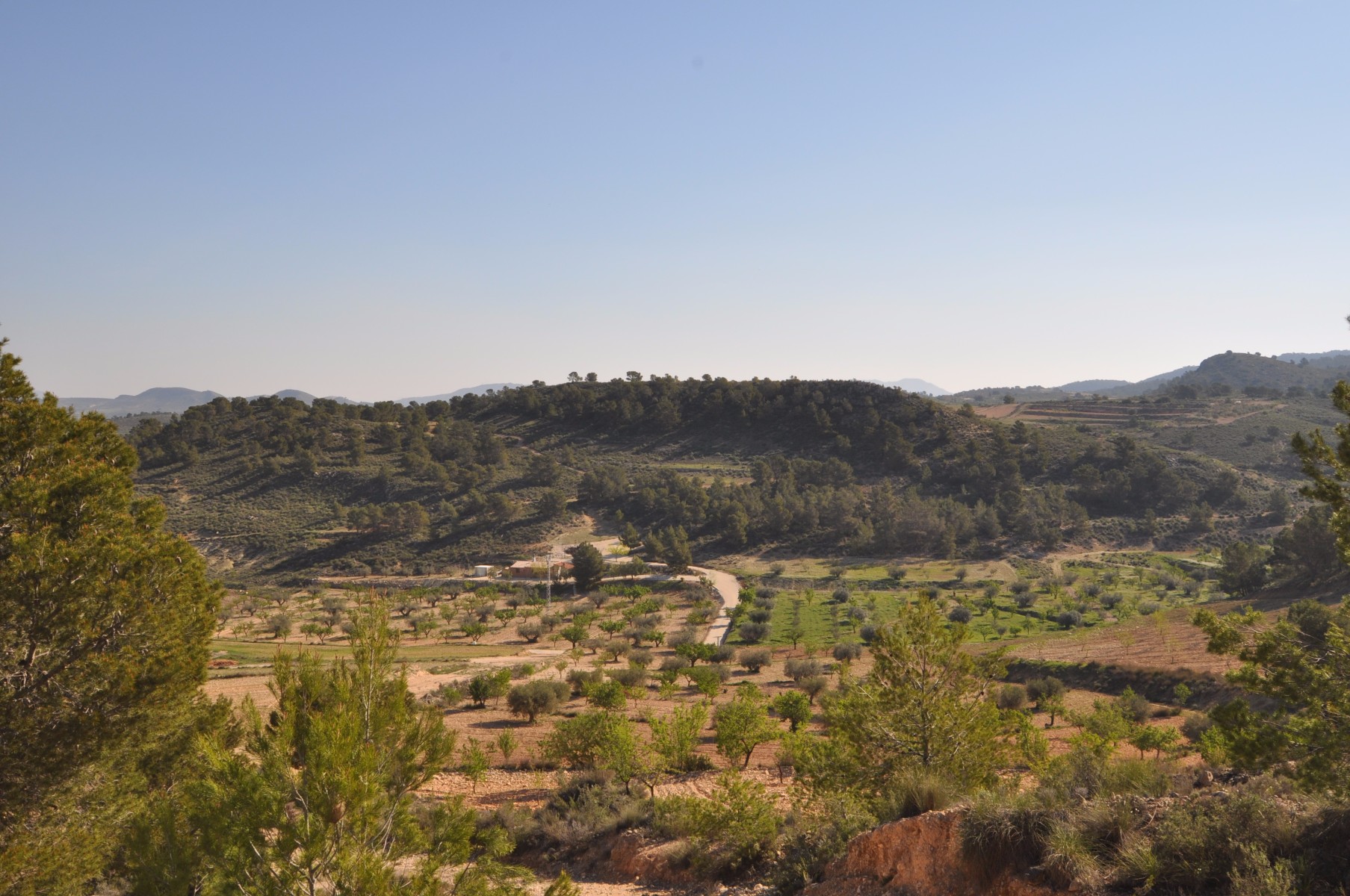 Terrace in land for sale in La Zarza