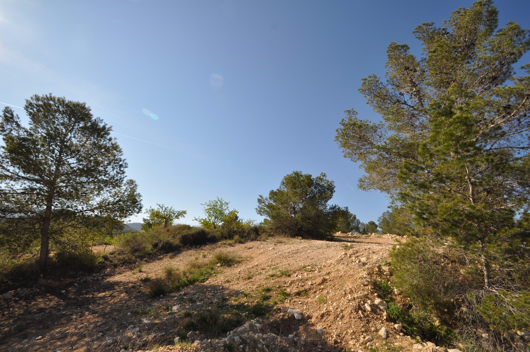 Garden in land for sale in La Zarza