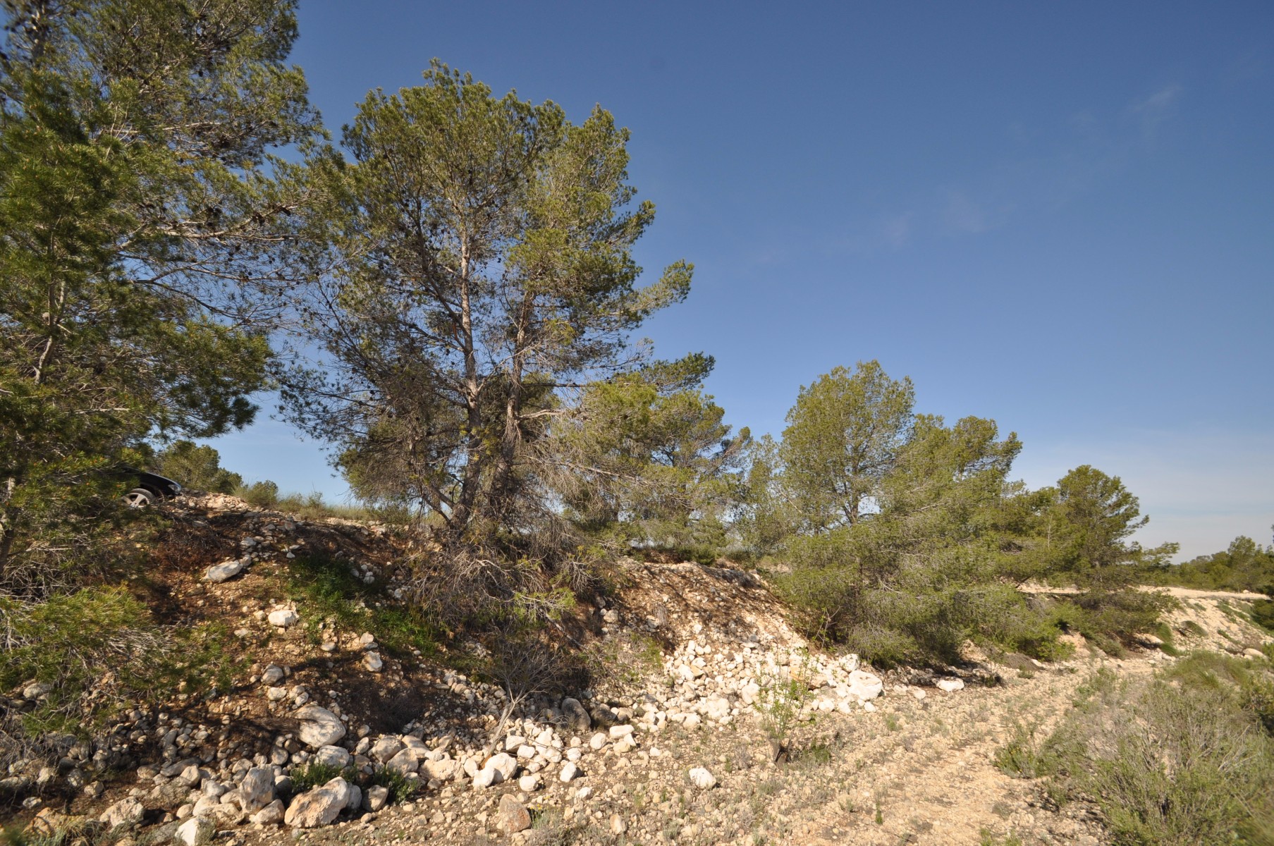 Dining area in land for sale in La Zarza